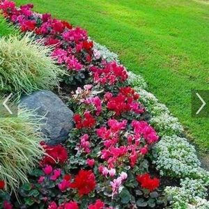 Meet your Posher, Reyna